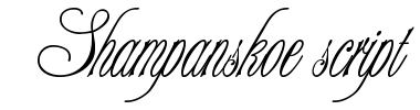 Fuente Shampanskoe script