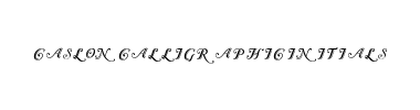 Fuente Caslon Calligraphic Initials